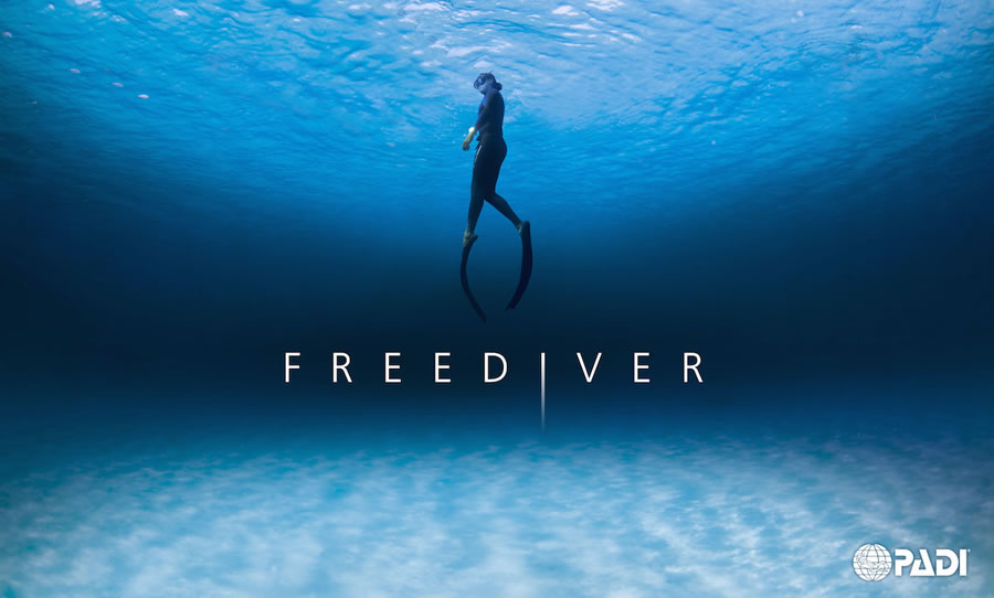 PADI Freediving com Karol Meyer: do Básico ao Instrutor